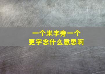 一个米字旁一个更字念什么意思啊