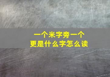 一个米字旁一个更是什么字怎么读