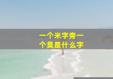 一个米字旁一个臭是什么字