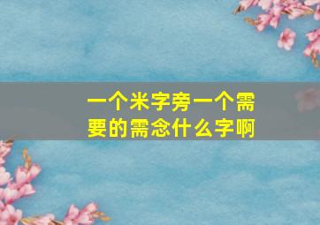 一个米字旁一个需要的需念什么字啊