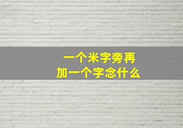 一个米字旁再加一个字念什么