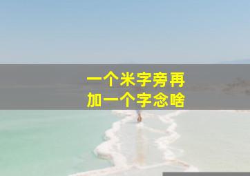 一个米字旁再加一个字念啥