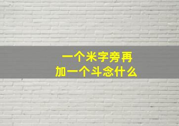 一个米字旁再加一个斗念什么