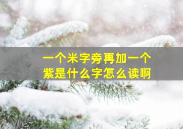 一个米字旁再加一个紫是什么字怎么读啊