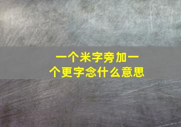 一个米字旁加一个更字念什么意思