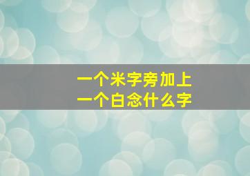 一个米字旁加上一个白念什么字