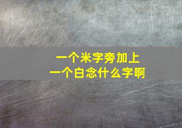 一个米字旁加上一个白念什么字啊