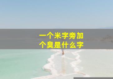 一个米字旁加个臭是什么字