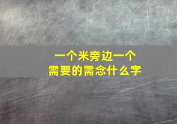 一个米旁边一个需要的需念什么字