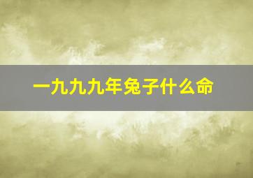 一九九九年兔子什么命