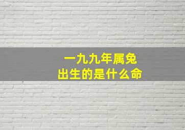 一九九年属兔出生的是什么命