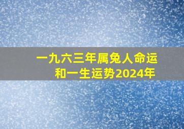 一九六三年属兔人命运和一生运势2024年