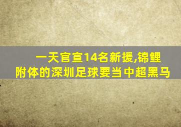 一天官宣14名新援,锦鲤附体的深圳足球要当中超黑马