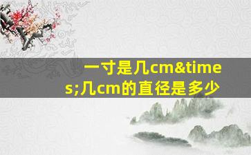 一寸是几cm×几cm的直径是多少