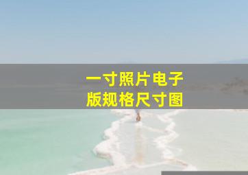 一寸照片电子版规格尺寸图