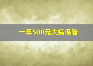 一年500元大病保险