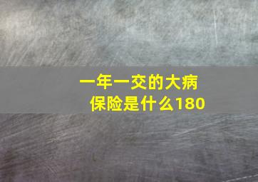 一年一交的大病保险是什么180