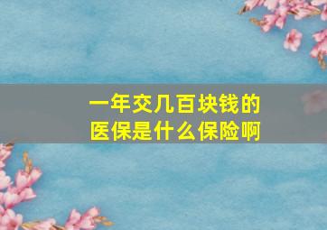 一年交几百块钱的医保是什么保险啊