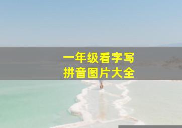 一年级看字写拼音图片大全