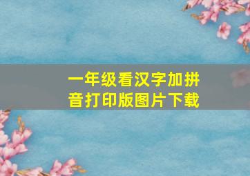 一年级看汉字加拼音打印版图片下载