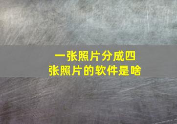 一张照片分成四张照片的软件是啥