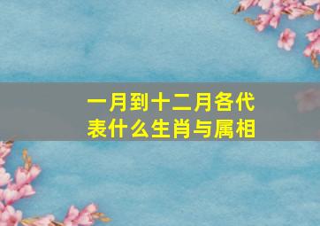 一月到十二月各代表什么生肖与属相