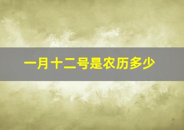 一月十二号是农历多少