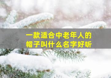 一款适合中老年人的帽子叫什么名字好听