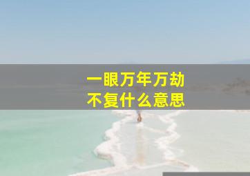 一眼万年万劫不复什么意思