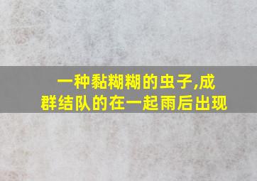 一种黏糊糊的虫子,成群结队的在一起雨后出现