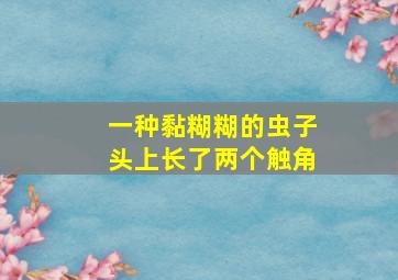 一种黏糊糊的虫子头上长了两个触角