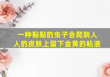 一种黏黏的虫子会爬到人人的皮肤上留下金黄的粘液