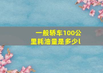 一般轿车100公里耗油量是多少l