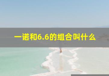 一诺和6.6的组合叫什么