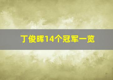 丁俊晖14个冠军一览