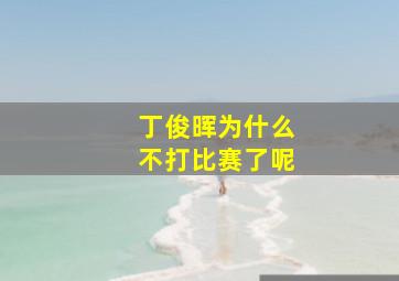 丁俊晖为什么不打比赛了呢