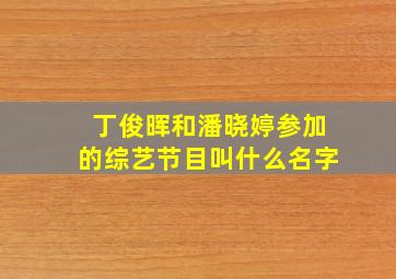 丁俊晖和潘晓婷参加的综艺节目叫什么名字