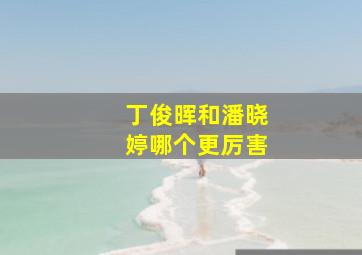 丁俊晖和潘晓婷哪个更厉害