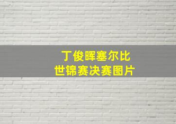 丁俊晖塞尔比世锦赛决赛图片