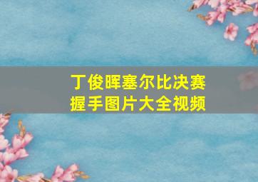 丁俊晖塞尔比决赛握手图片大全视频