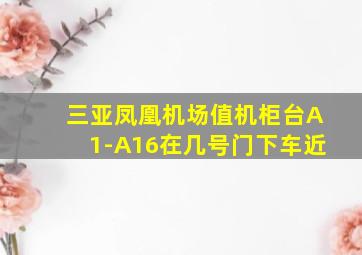 三亚凤凰机场值机柜台A1-A16在几号门下车近