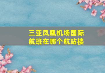 三亚凤凰机场国际航班在哪个航站楼