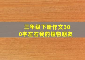 三年级下册作文300字左右我的植物朋友