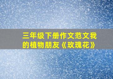 三年级下册作文范文我的植物朋友《玫瑰花》