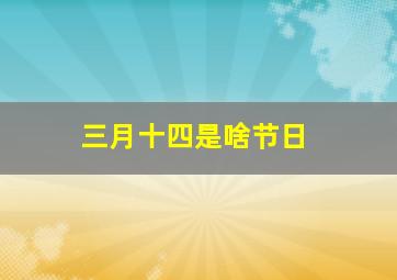 三月十四是啥节日