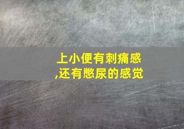 上小便有刺痛感,还有憋尿的感觉