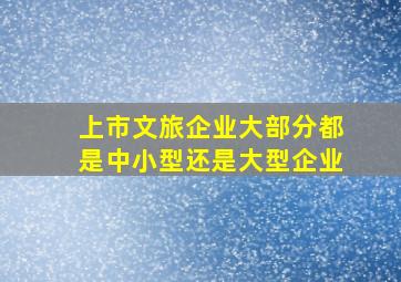 上市文旅企业大部分都是中小型还是大型企业