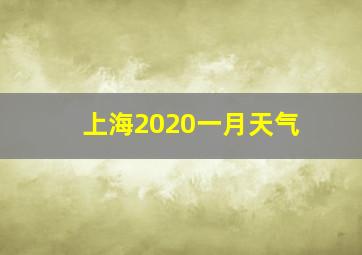 上海2020一月天气