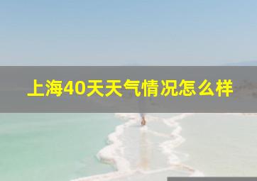 上海40天天气情况怎么样