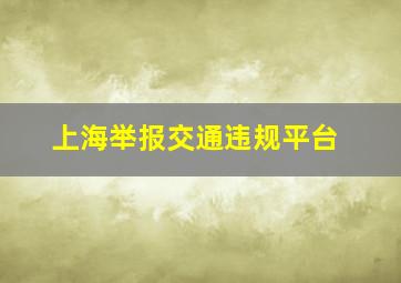 上海举报交通违规平台